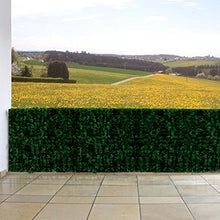 Reticolato per privacy N77 giardino balcone decorativo poliestere scuro 300x100cm