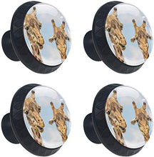 Giraffe Due teste divertenti Pomelli per Porta Set di 4 Pomelli per Mobili Manopole per Cassetti Cucina Armadio Vetro