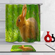 LIYAN Combinazione Bagno. Immagini Chiare E Colori Vivaci Rendono Il Tuo Bagno Pieno di Vita. Accessori da Bagno. Coniglio sul Prato.