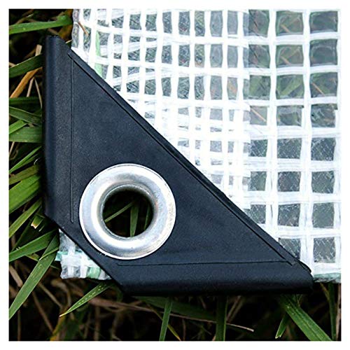 SHIJINHAO Telo Impermeabile Esterno,170g Chiari Mono Colore Teloni - Heavy Duty Esterna Impermeabile Versatile Copertina, 32 Formati (Color : Chiaro, Size : 4x6m)