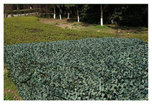 STTHOME Rete Ombreggiante Maglia Parasole Rete Mimetica Rete di Camuffamento Verde Puro, la Caccia dell'Esercito di Campeggio Netto Camuffamento boschivo Nascosta più Dimensioni (Size : 3 * 4m)