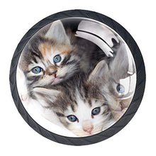 Un gruppo di gatti 4 PCS Pomelli per Porta, Pomolo per Mobile, Pomelli per Mobili con Viti, Maniglia per Armadietto, Pomelli per Porta, Pomelli per Cassetti per Porta, Armadio, Cassetto e Credenza