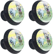Cucciolo di due bulldog francese che esegue gioco Pomelli per Porta Set di 4 Pomelli per Mobili Manopole per Cassetti Cucina Armadio Vetro