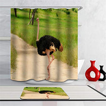LIYAN Combinazione Bagno. Immagini Chiare E Colori Vivaci Rendono Il Tuo Bagno Pieno di Vita. Accessori da Bagno. Animali Selvaggi. Struzzo.