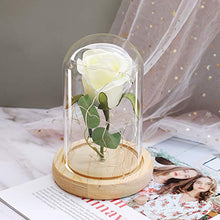 QYMX Eternal Flower ， Romanticismo Eternal Life Fiore Copertura di Vetro Rosa in Una boccetta Lampada Regalo di Natale Regalo di Compleanno Regali di San Valentino Decor