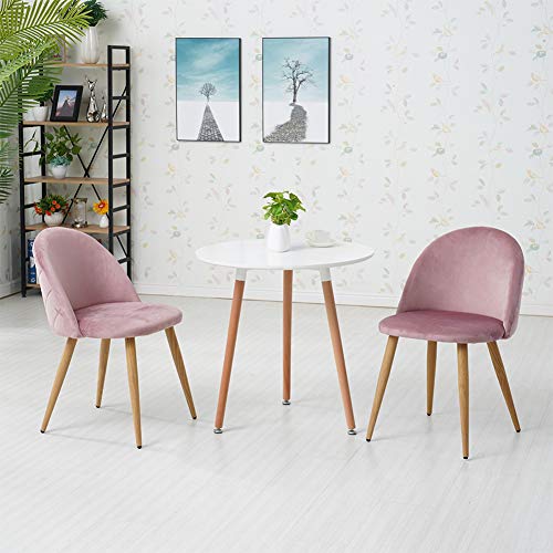 OFCASA Sedie sedie sala da pranzo Set da 2 in morbido velluto sedie schienale con gambe in metallo per sala da pranzo soggiorno ufficio mobili moderni hotel ristorante sedie(Rose)