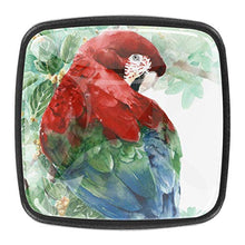 Ara seduto sull'albero Pomelli per Porta Set di 4 Pomelli per Mobili Manopole per Cassetti Cucina Armadio Vetro