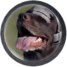 Labrador Love Dog nero felice Pomelli per Porta Set di 4 Pomelli per Mobili Manopole per Cassetti Cucina Armadio Vetro