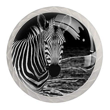 Zebra animale 4 PCS Pomelli per Porta, Pomolo per Mobile, Pomelli per Mobili con Viti, Maniglia per Armadietto, Pomelli per Porta, Pomelli per Cassetti per Porta, Armadio, Cassetto e Credenza