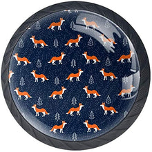 Volpe arancione modello albero colore blu scuro Pomelli per Porta Set di 4 Pomelli per Mobili Manopole per Cassetti Cucina Armadio Vetro