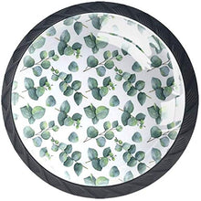 Stile acquerello con foglie e rami di eucalipto dollaro Pomelli per Porta Set di 4 Pomelli per Mobili Manopole per Cassetti Cucina Armadio Vetro