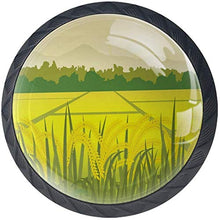 Vernice verde della montagna del giacimento del riso Pomelli per Porta Set di 4 Pomelli per Mobili Manopole per Cassetti Cucina Armadio Vetro