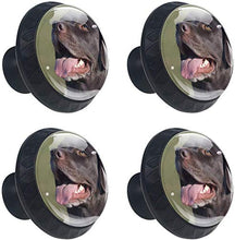 Labrador Love Dog nero felice Pomelli per Porta Set di 4 Pomelli per Mobili Manopole per Cassetti Cucina Armadio Vetro