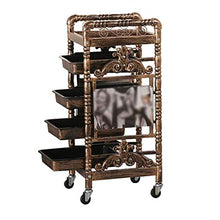 Carrelli portaoggetti Beauty Salon Tool Carrello Barber Shop Dyeing Trolley Hair Salon Retro Mensola multifunzione I will take action now
