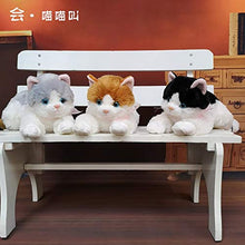 YiXing, 1 bambola di gatto simulata da 15 a 40 cm, peluche per gattino, cuscino per dormire, regalo per fidanzata (colore bianco, 40 cm)