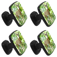 Fawn standing in the forest Pomelli per Porta Set di 4 Pomelli per Mobili Manopole per Cassetti Cucina Armadio Vetro