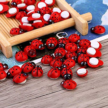 xiaofeng214 100pcs / Lot Mini Cabochon Coccinella Fairy Garden Miniature Garden Ornamento Decorazione Micro Paesaggio Bonsai Statuetta in Resina Crafts (Size : 100pcs)