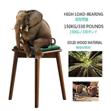 Sedia Sgabello Legna -sgabelli Bassi da Bar Senza Schiena -seggiola da Bar 45cm Sedie Velluto Moderno,Cuscini Quadrati Verdi con Elastico,Nessun Assemblaggio Richiesto,per Cucina Arredo Bar