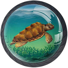Pianta Di Alghe Di Tartaruga Di Mare Pomelli per Porta Set di 4 Pomelli per Mobili Manopole per Cassetti Cucina Armadio Vetro