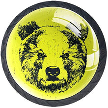 Ritratto di orso withes Pomelli per Porta Set di 4 Pomelli per Mobili Manopole per Cassetti Cucina Armadio Vetro