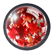 Acero d'autunno 4 PCS Pomelli per Porta, Pomolo per Mobile, Pomelli per Mobili con Viti, Maniglia per Armadietto, Pomelli per Porta, Pomelli per Cassetti per Porta, Armadio, Cassetto e Credenza