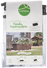 Catral Germania Città Giardino, Giardino d' Inverno di Kit Planter, Trasparente, 104 x 44 x 39 cm, 71080012