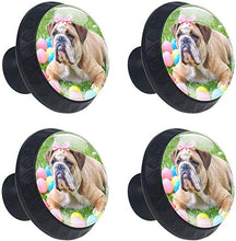 Animale selvatico dei cervi maschii di Brown Pomelli per Porta Set di 4 Pomelli per Mobili Manopole per Cassetti Cucina Armadio Vetro