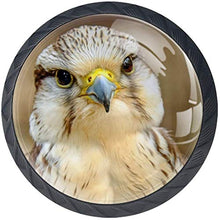 Gyrfalcon Carino Ti guarda Pomelli per Porta Set di 4 Pomelli per Mobili Manopole per Cassetti Cucina Armadio Vetro