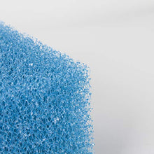 Generico-Oase Biotec Screenmatic 18 & 36 Ricambio Stagno Blu Grossa e Verde Fine Spugna Filtro(Confezione da 16)