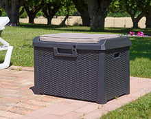 Cassapanca da giardino con 125 l, contenitore richiudibile per terrazza con cuscino, in plastica, 73 x 50,5 x 49,5 cm