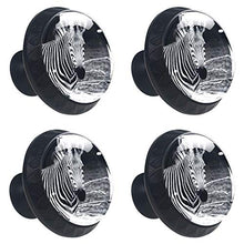Zebra animale 4 PCS Pomelli per Porta, Pomolo per Mobile, Pomelli per Mobili con Viti, Maniglia per Armadietto, Pomelli per Porta, Pomelli per Cassetti per Porta, Armadio, Cassetto e Credenza