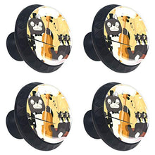 [4 pz]Cassettiera in vetro trasparente con viti per cucina, comò, armadietto, bagno, armadio, musica divertente gatto giocare il violino