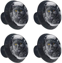 Gatto nero grasso occhi luminosi Pomelli per Porta Set di 4 Pomelli per Mobili Manopole per Cassetti Cucina Armadio Vetro