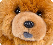 Yfkjh Simulazione di Chow Chow, simpatico peluche per bambini regalo di compleanno 24 cm (altezza) x 32 cm (lunghezza).