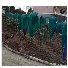 Pianta Calda Non Tessuta Avvolto Albero Protezione Giardino Arbusto Cintura Verde Avvolto Albero Antivento A Prova di Freddo Copertura Antigelo,5Packs
