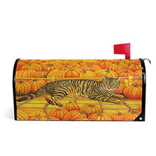 Copertura magnetica per cassetta postale per gatti di Halloween, motivo zucche, per giardino, giardino, giardino, casa, dimensioni standard, 53,3 x 45,7 cm