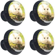 Criceto bianco natura Pomelli per Porta Set di 4 Pomelli per Mobili Manopole per Cassetti Cucina Armadio Vetro