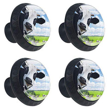Wetia Mucca Carina per la Cucina di casa Armadio Armadio Armadio Nero 3,5 x 2,8 cm