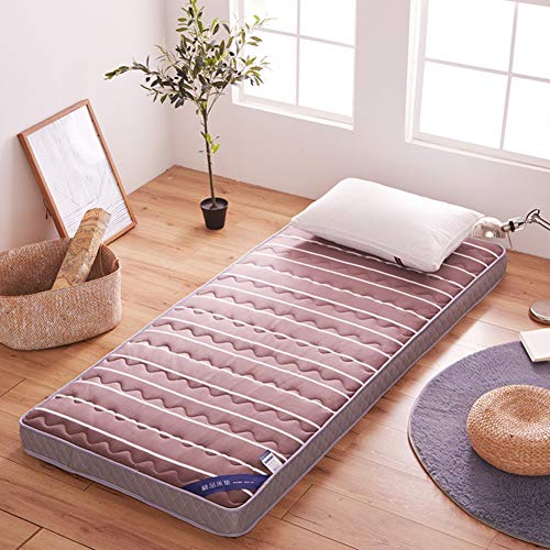 HM&DX Addensare Materasso da Terra Tatami,Trapuntato Reversibile Pieghevole Materasso futon Pavimento stuoia Sonno per Dormitorio Camera da Letto-E 120x200cm(47x79inch)