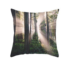 Federe Cuscini Divano 45X45,Fodere Per Cuscini Con Stampa Di Serie Di Paesaggi Naturali Della Foresta, Fodere Per Cuscini Lombari Per Divano Da Ufficio Per Auto, Set Di 4 Articoli Per La Decorazione D