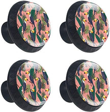 Toucan Birds Pattern Foglie verdi Rosa tropicale Pomelli per Porta Set di 4 Pomelli per Mobili Manopole per Cassetti Cucina Armadio Vetro