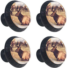 Alce Pomelli per Porta Set di 4 Pomelli per Mobili Manopole per Cassetti Cucina Armadio Vetro