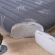 LXSHMF Doppia Singolo Pavimento Materasso,Giapponese Dormitorio per Studenti Pieghevole Materasso,Futon Pavimento Materassino Tatami Mat Piegare Futon Spesso Materassi A 100x200cm(39x79inch)