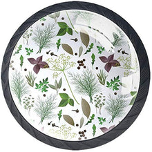Pianta verde delle spezie delle erbe Pomelli per Porta Set di 4 Pomelli per Mobili Manopole per Cassetti Cucina Armadio Vetro
