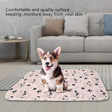 Fdit Tappeto Riutilizzabile Pet Pee Bed Pad Impermeabile Puppy Dog Carpet Urine Pet Trainging Mat(40 * 60cm)