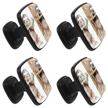 bradipo carino su bianco Pomelli per Porta 4 Pezzi Manopole per Mobili da Cucina Pomelli per Mobili Pomelli Per Cassetti/Cucina/Armadio Antichi