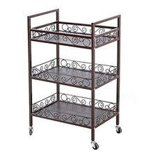 Quattro Ruote portatile strumento di archiviazione Carrello Carrello for ripiani, appendiabiti da terra in ferro battuto bellissimo e facile da pulire appendiabiti for parrucchiere multistrato, 2 colo