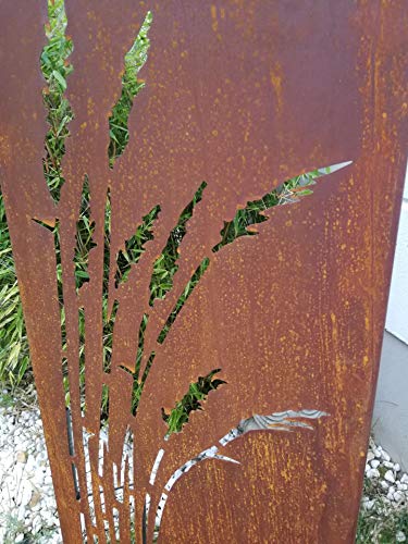 Zen Man 031912 - Paravento da giardino in metallo arrugginito, 1 mm, d – Arredi  Casa
