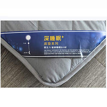 NSAIH Materasso,Tatami/Materasso Pieghevole Tinta Unita,Materasso per dormitorio per Studenti,Futon da Viaggio Portatile,Materasso da Pavimento Futon,Materasso Singolo Singolo,per Ufficio,Hotel