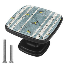 Uccelli invernali 4 PCS Pomelli per Porta, Pomolo per Mobile, Pomelli per Mobili con Viti, Maniglia per Armadietto, Pomelli per Porta, Pomelli per Cassetti per Porta, Armadio, Cassetto e Credenza